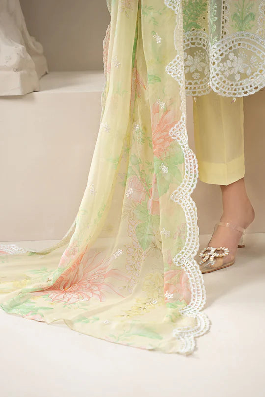 Pastel-colored sheer fabric with floral patterns and lace details on a neutral background.